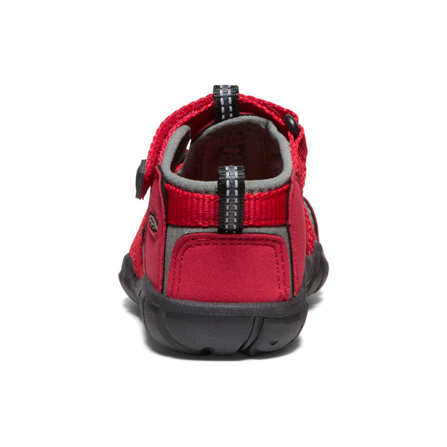 Racing Red/Gargoyle