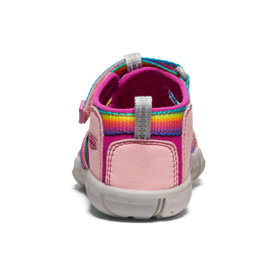 Rainbow/Festival Fuchsia