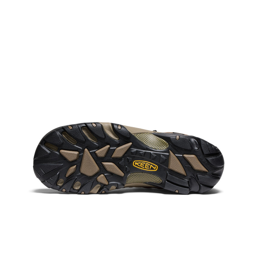 Bison/Black