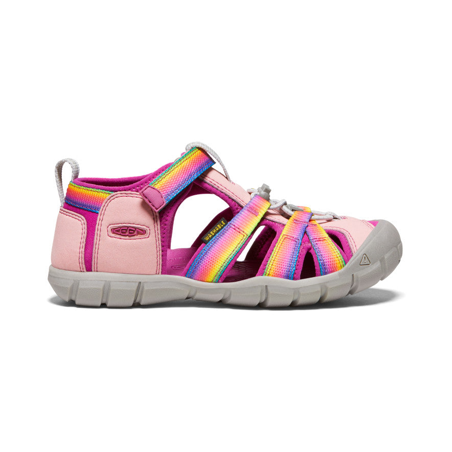 Rainbow/Festival Fuchsia