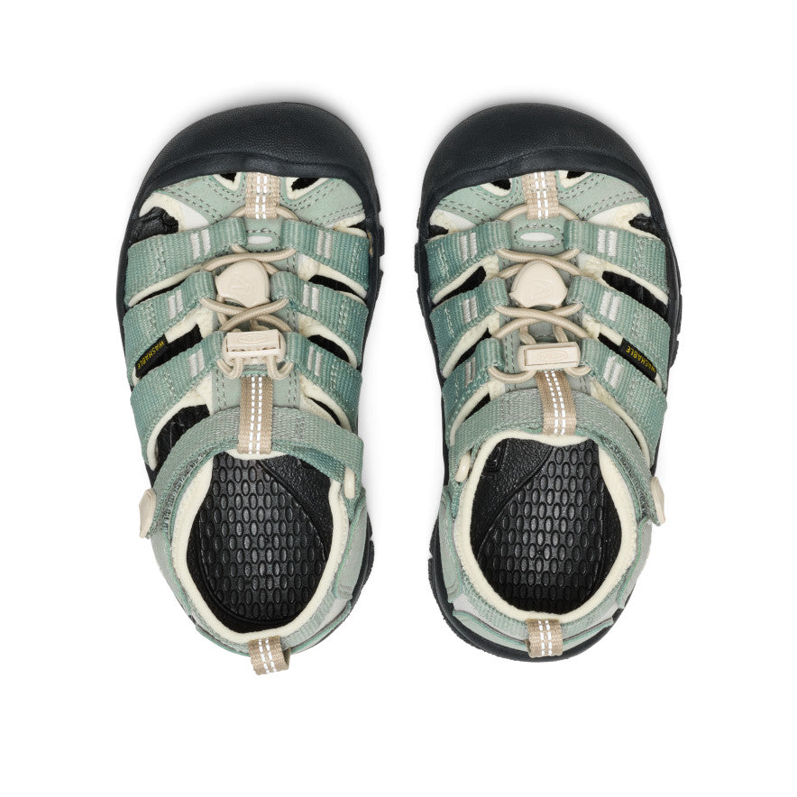 Lily Pad/Black