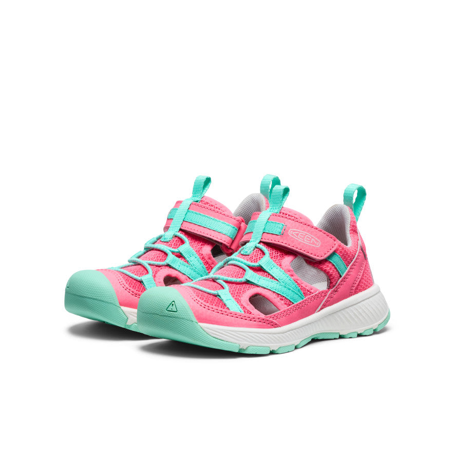Pink Lemonade/Cabbage