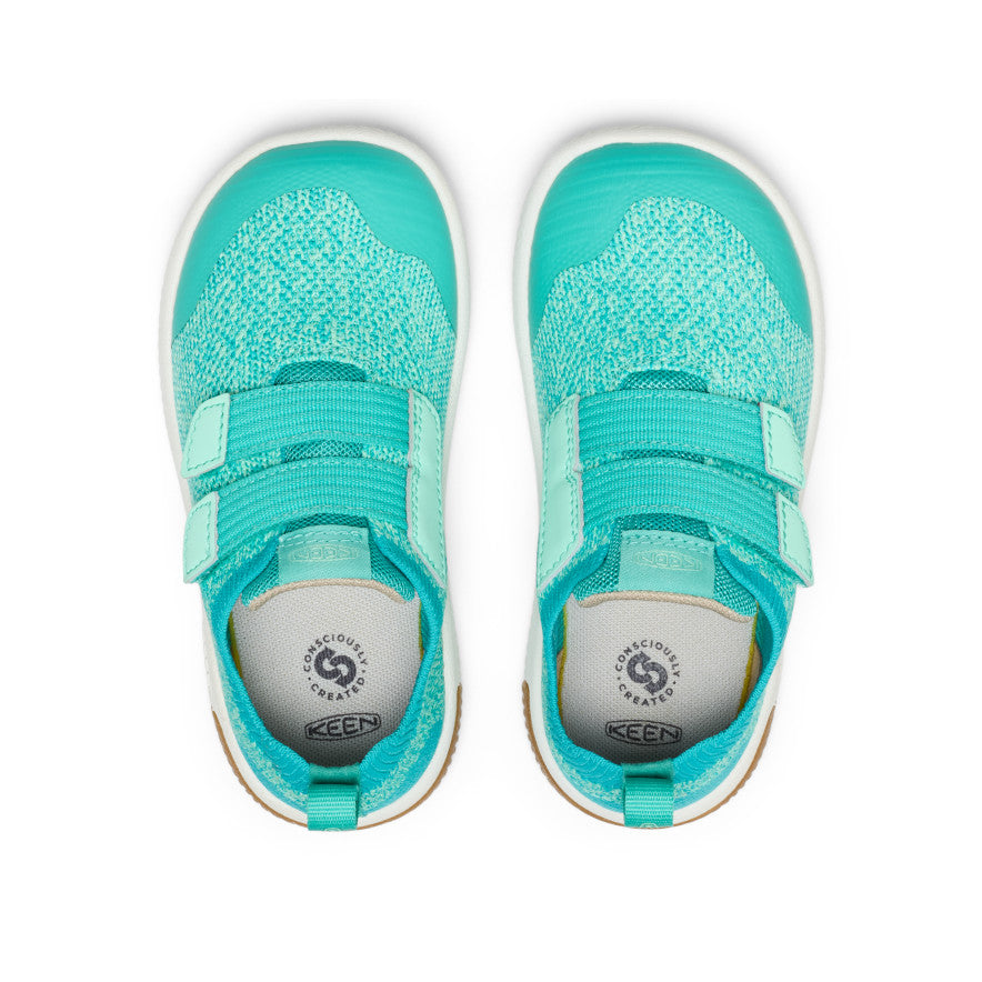 Bright Aqua/Cabbage