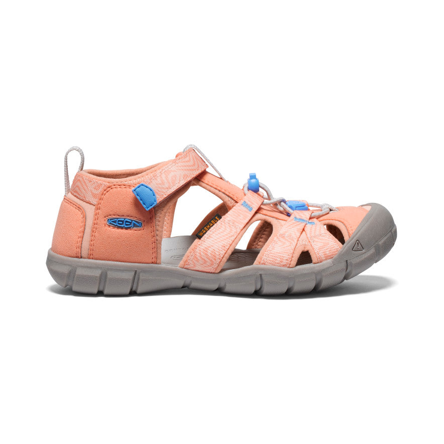 Papaya Punch/Marina