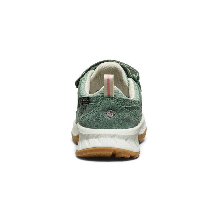 Lily Pad/Cashmere Rose