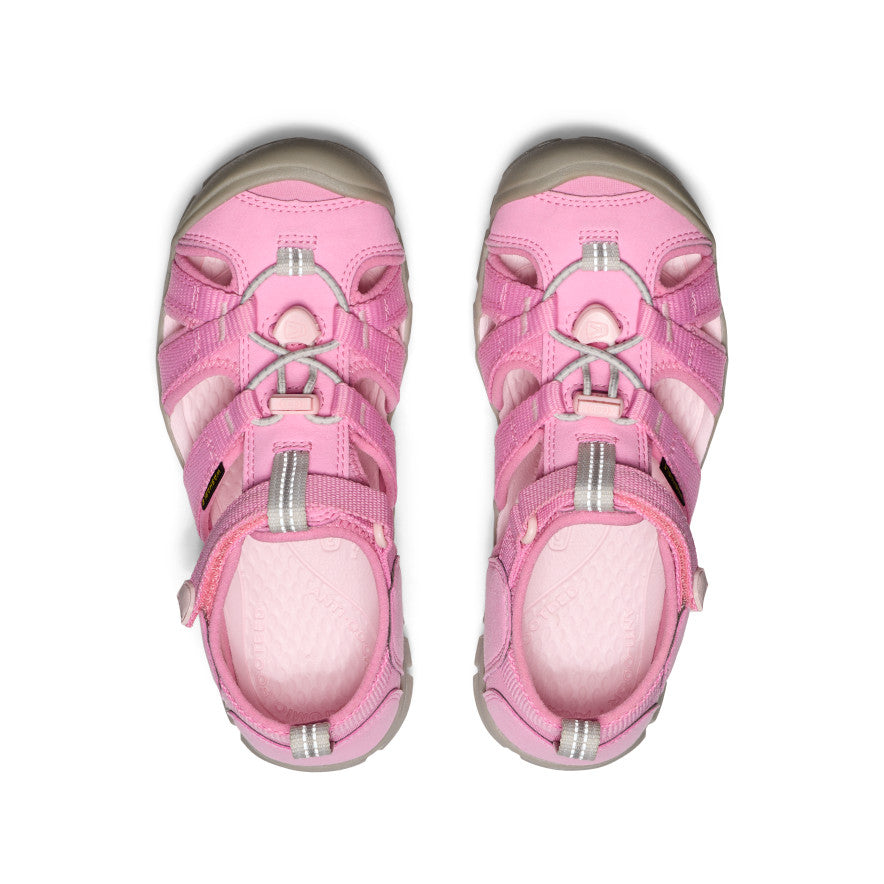 Moonlite Mauve/Giggle Pink