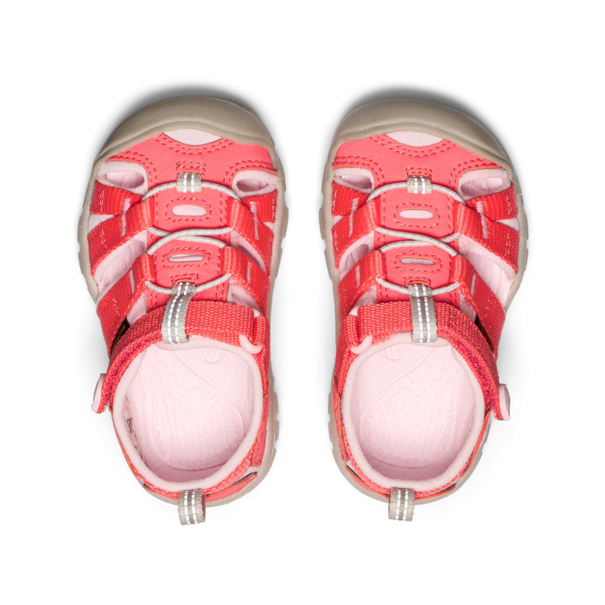 Mazuļu Seacamp II CNX Dubarry/Giggle Pink