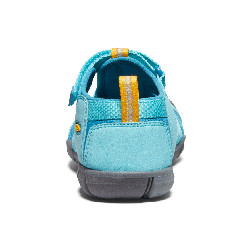 Ipanema/Fjord Blue