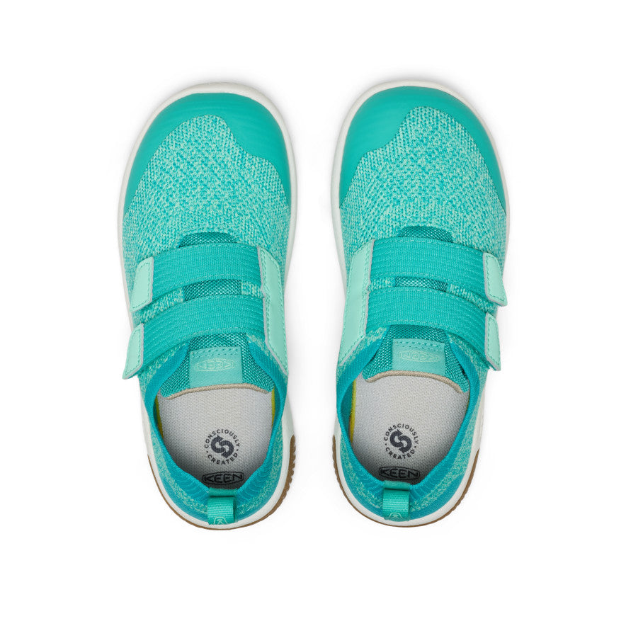 Bright Aqua/Cabbage