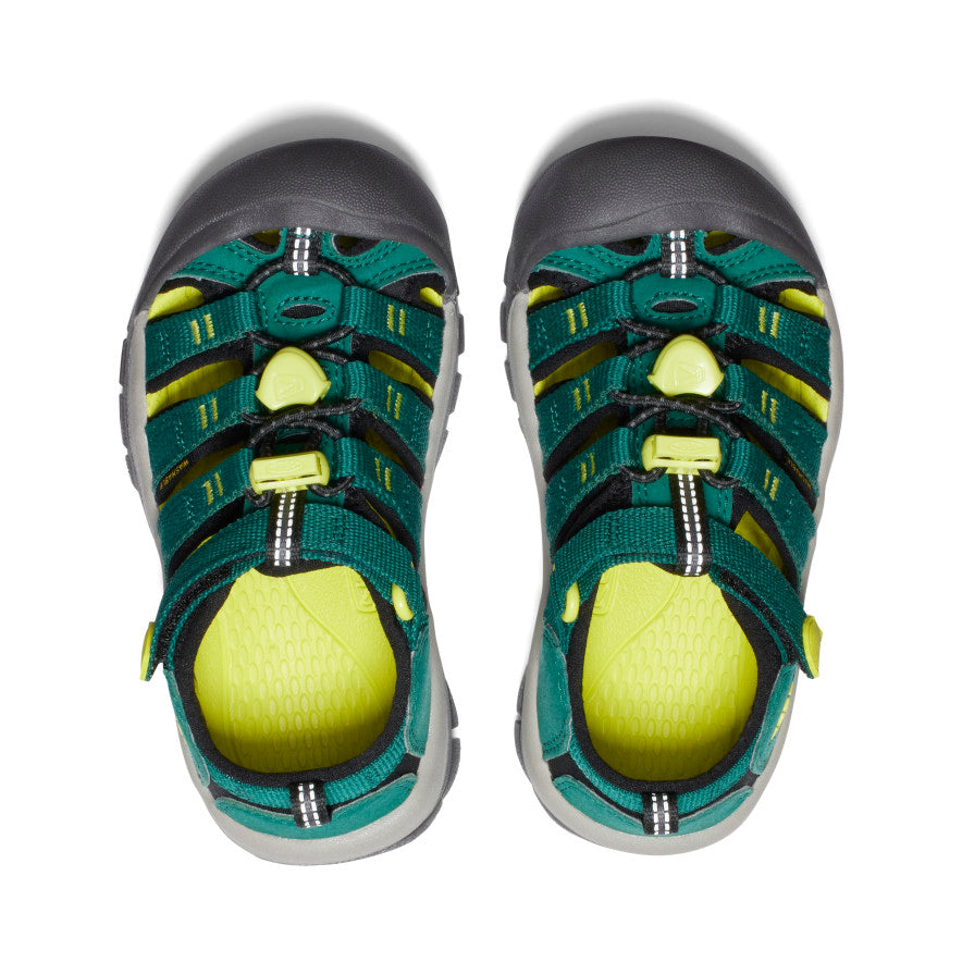 Little Kids' Newport H2 Aventurine/Evening Primrose