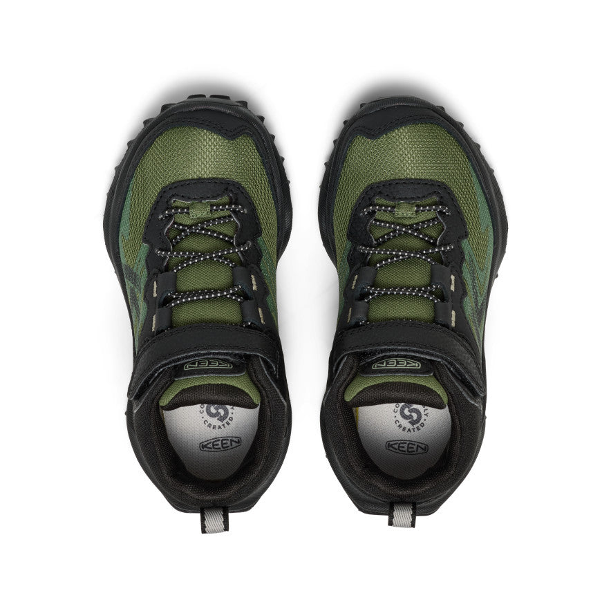 Black/Bronze Green