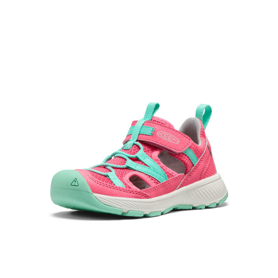 Pink Lemonade/Cabbage
